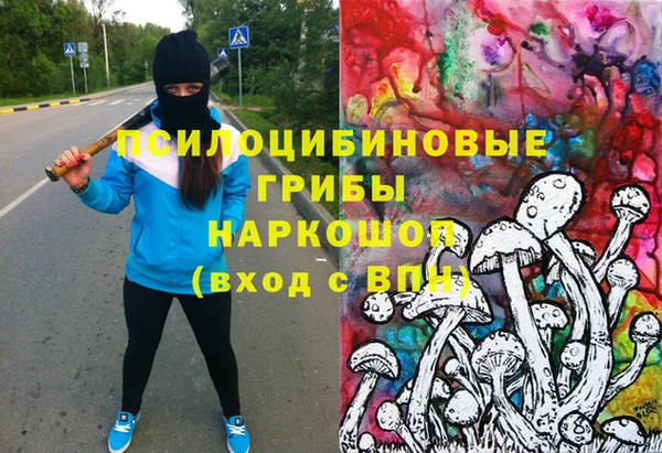 ешки Абинск