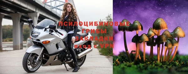 соль курить ск Алзамай