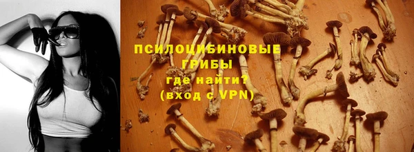 твердый Алексеевка